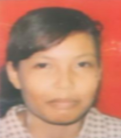 ERNI SIREGAR
